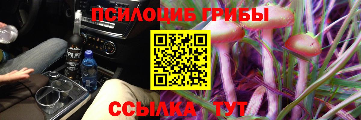 Галлюциногенные грибы GOLDEN TEACHER  Вход с VPN  Асино 